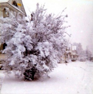 1972